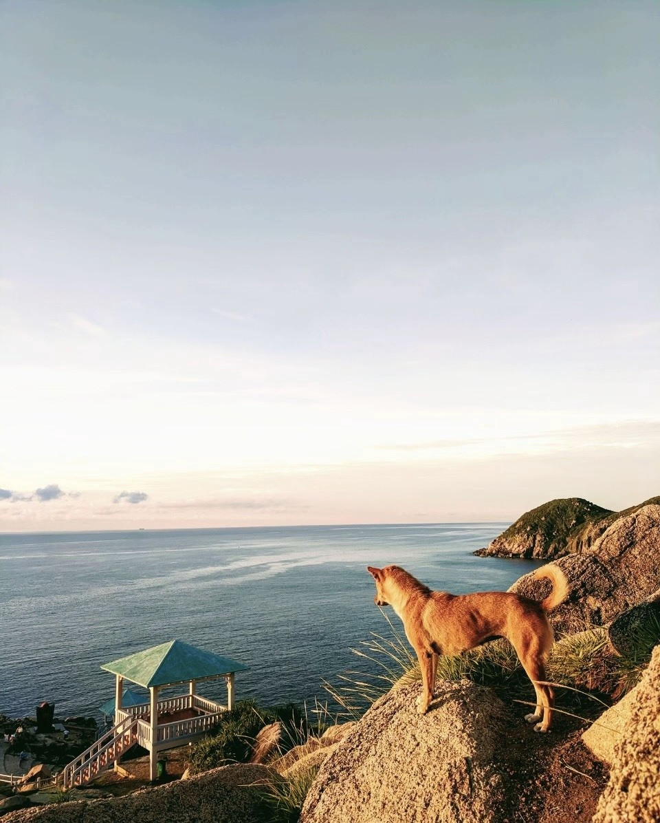 Giá vé tham quan hiện nay là 20.000 đồng đối với du khách ngoại tỉnh và 10.000 đồng với khách nội tỉnh. Để lên hải đăng, du khách phải đi bộ xuyên rừng núi khoảng 30–45 phút. Ảnh FB Phượt luôn