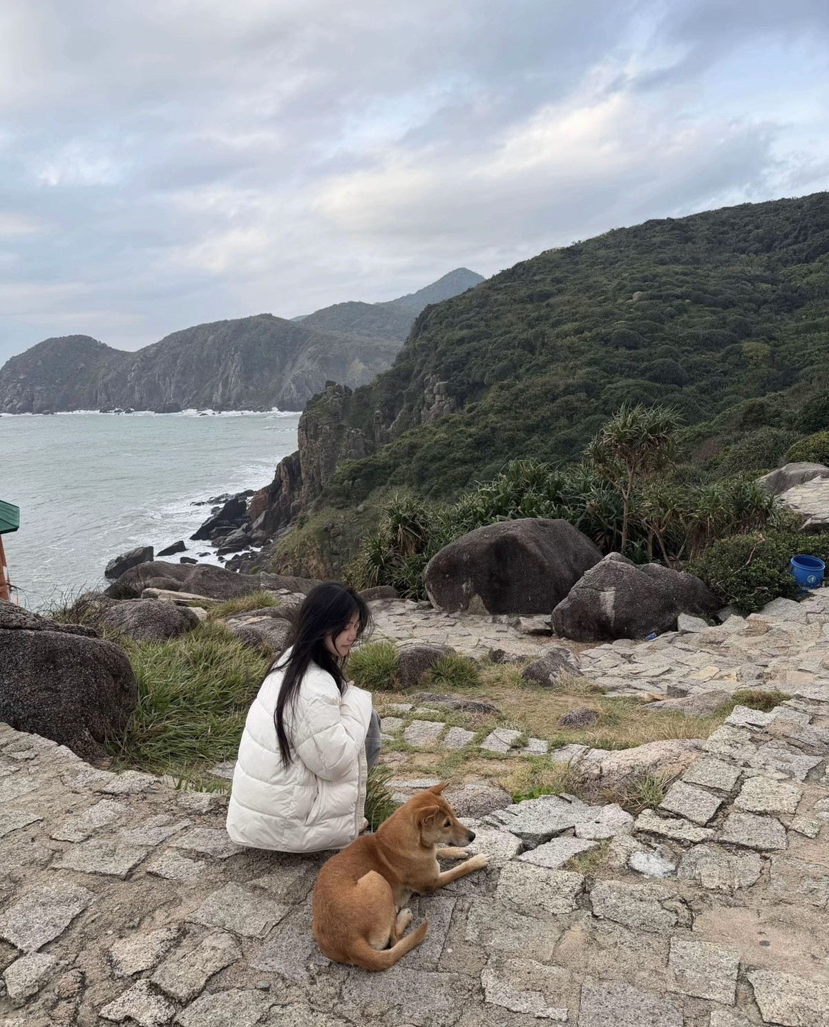 Theo tìm hiểu, chú chó vàng là thú cưng của ông Đinh Hoàng Phong (50 tuổi), người đã gắn bó với khu vực Mũi Điện hơn 20 năm. Những ngày đầu khi nơi đây chưa phát triển du lịch, gia đình ông thường lên núi chăn thả bò và chú chó theo chân chủ, quen thuộc từng lối mòn, vách đá. Có lẽ chính sự gắn bó lâu dài với vùng đất này đã khiến chú trở thành người bạn dẫn đường tự nhiên, âm thầm hỗ trợ du khách. Ảnh FB Phượt luôn