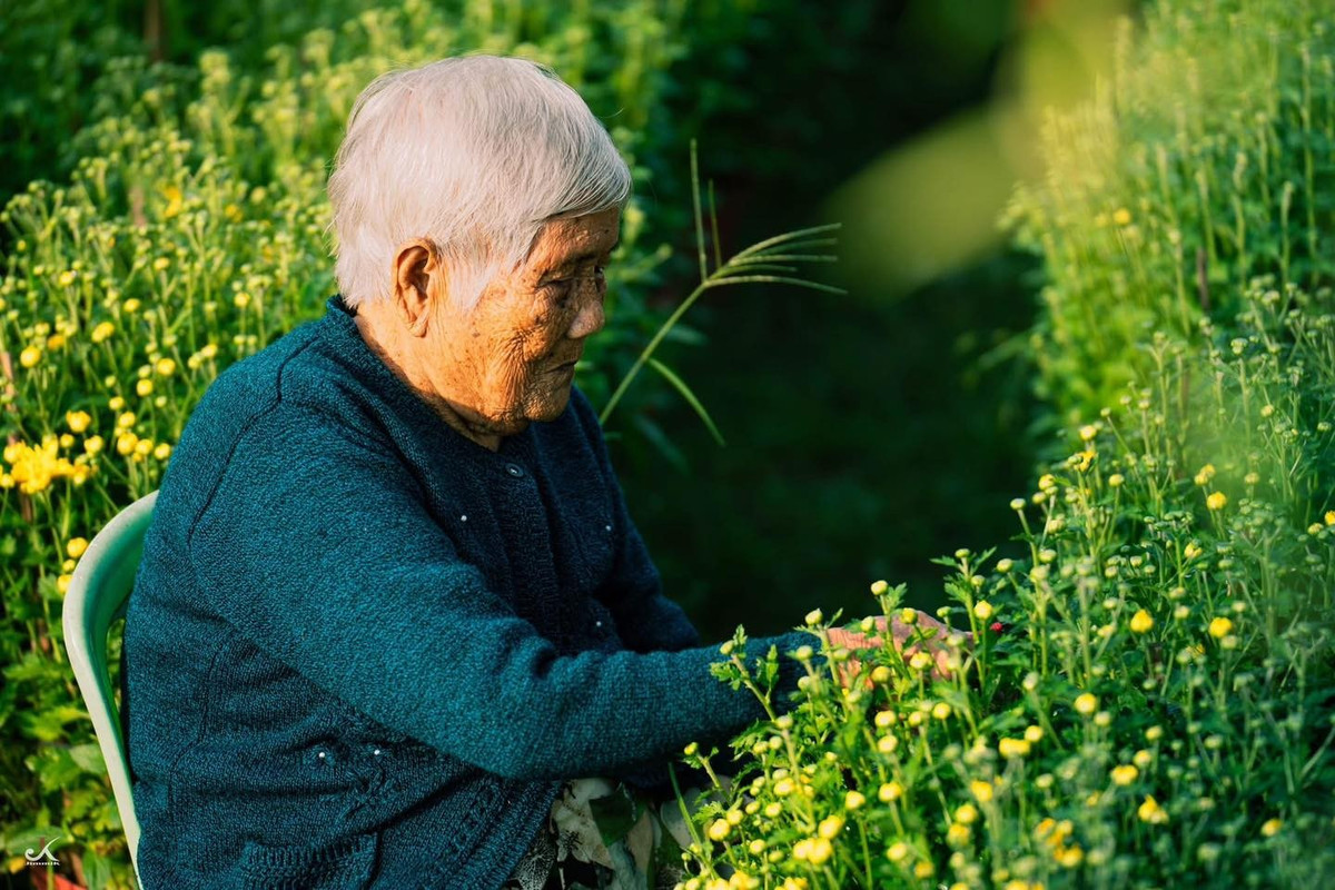 Với du khách, việc quan sát nhịp lao động ấy mang lại cảm giác bình yên, khác xa sự vội vã nơi phố thị.