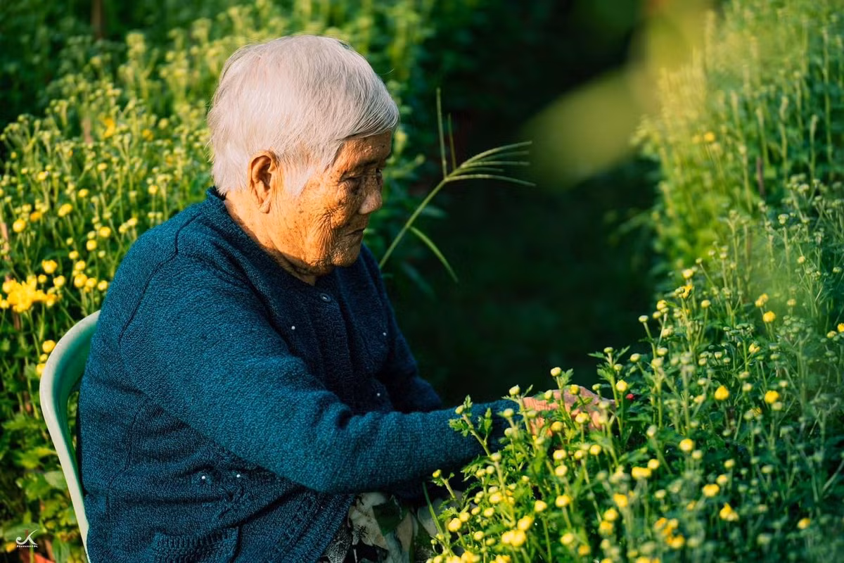 Với du khách, việc quan sát nhịp lao động ấy mang lại cảm giác bình yên, khác xa sự vội vã nơi phố thị.