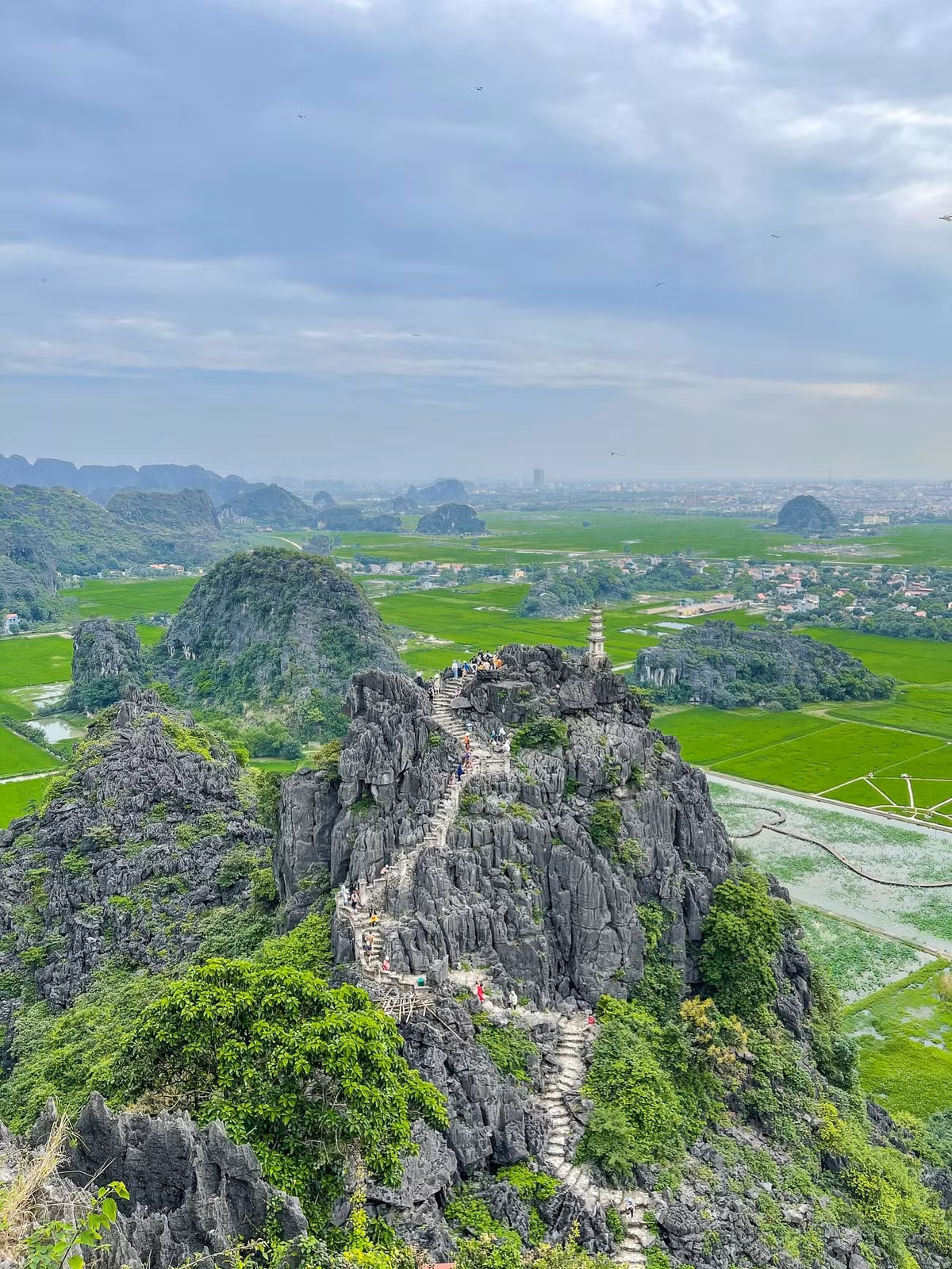 Một điểm ngắm toàn cảnh Tam Cốc từ trên cao chính là Hang Múa. Chỉ cần leo khoảng 500 bậc đá, du khách sẽ được thưởng ngoạn khung cảnh lúa xanh rì rào bên dòng sông mềm mại uốn quanh chân núi – một bức tranh thủy mặc tuyệt vời cho những ai yêu nhiếp ảnh và thiên nhiên.