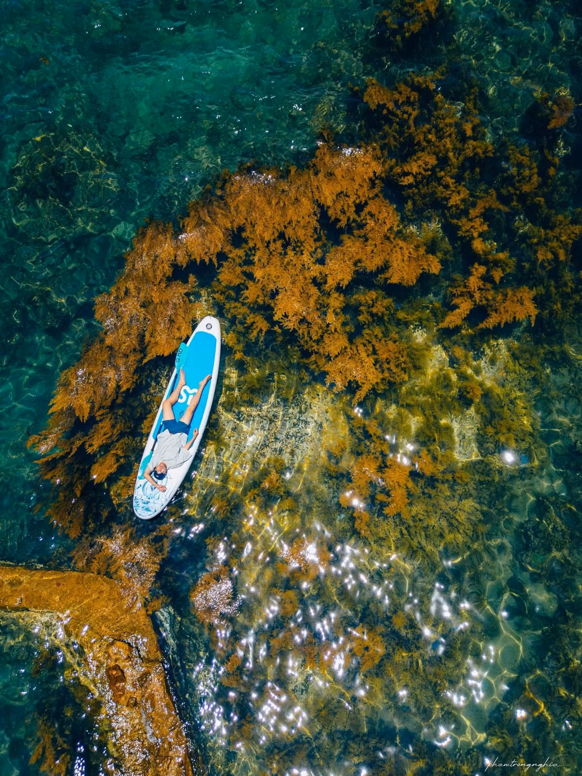 Để phục vụ du khách, nhiều công ty lữ hành tại Quy Nhơn đã thiết kế các tour ngắn ngày kết hợp tham quan cánh đồng rong mơ với hoạt động lặn biển, tham quan làng chài và ăn hải sản. Một số tour tiêu biểu như tour nửa ngày “Check-in rong mơ – khám phá Nhơn Hải” do Quy Nhơn Me Travel tổ chức với giá từ 390.000 đồng/người, bao gồm cano, bữa ăn nhẹ và hướng dẫn viên bản địa; tour 1 ngày “Lặn biển Kỳ Co – check-in rong mơ Nhơn Hải” do Vietravel triển khai, giá từ 1.090.000 đồng/người; hoặc du khách có thể lưu trú tại các homestay như Haflmoon Homestay, Làng Chài Resort, nơi có dịch vụ hướng dẫn lịch thủy triều, cho thuê thuyền thúng, áo phao và hỗ trợ chụp ảnh flycam. Ảnh Pham Trong Nghia