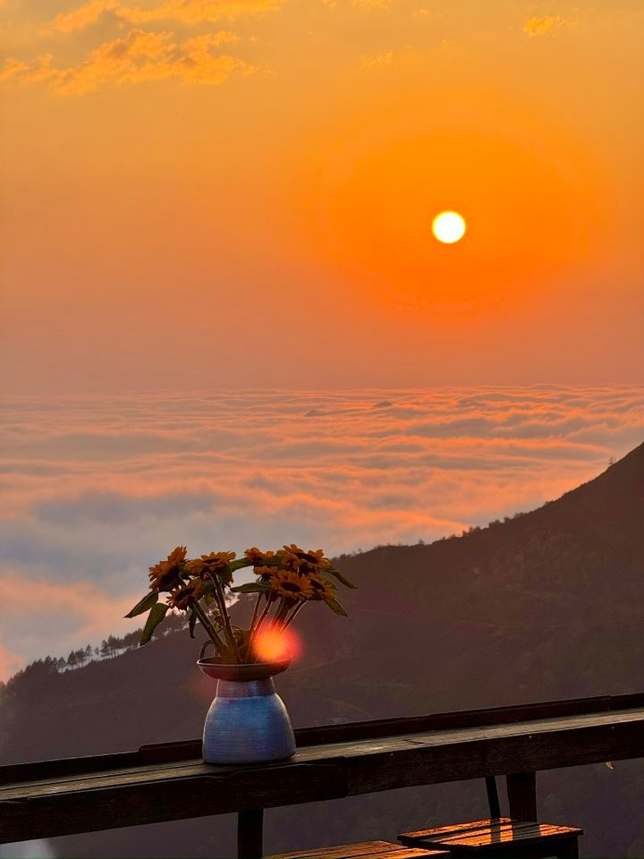 Tà Xùa không chỉ có những con đường uốn lượn quanh núi hay “biển mây” huyền ảo, mà còn có những quán cà phê nhỏ nơi lưng chừng trời – nơi người ta tìm thấy bình yên trong từng ngụm cà phê nóng và cảm giác như đang chạm tay vào thiên đường. Ảnh Thào Coffee Tà Xùa