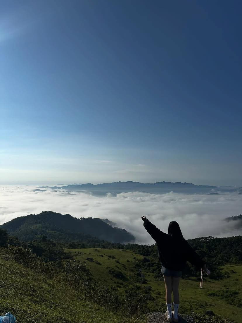 Đồng Cao nổi bật với những đồng cỏ xanh mướt trải dài, xen lẫn các tảng đá lớn với hình thù độc đáo. Ảnh _htt206