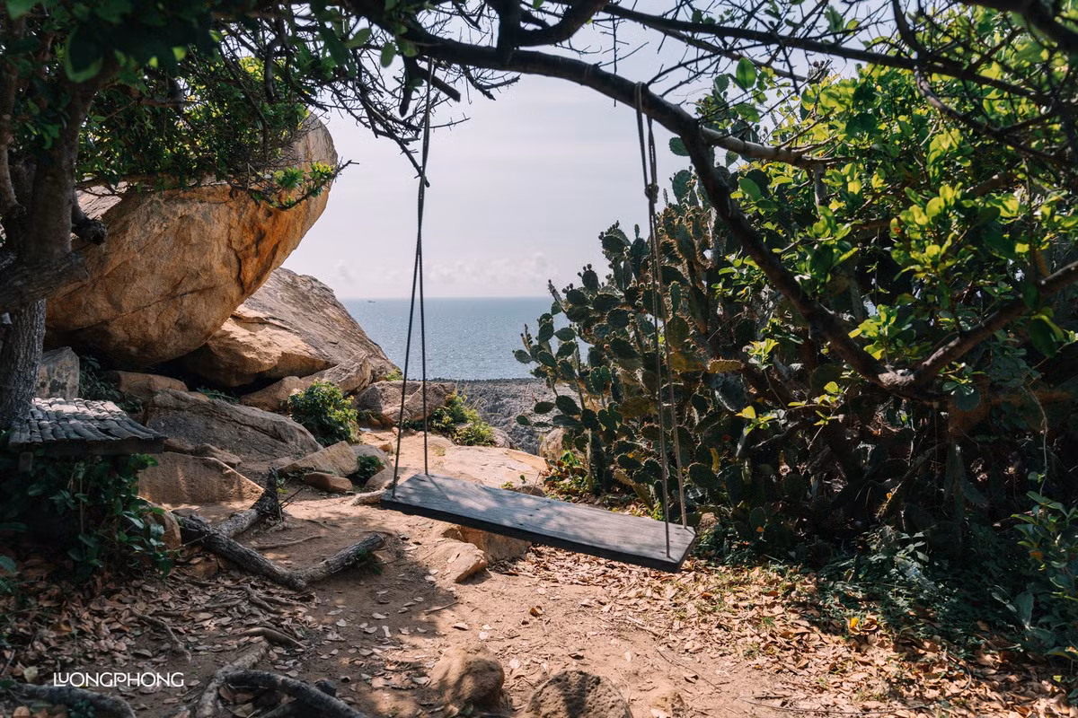 Không chỉ đẹp, Hang Rái còn là nơi lý tưởng để trải nghiệm thiên nhiên nguyên bản. Du khách có thể đung đưa trên xích đu giữa rừng xương rồng, đi dạo men theo bờ đá, săn bình minh hoặc hoàng hôn đầy nghệ thuật. Mỗi góc nhỏ đều mang một vẻ đẹp rất riêng, tựa như studio thiên nhiên sắp đặt sẵn cho những ai đam mê chụp ảnh. Ảnh Lương Phong