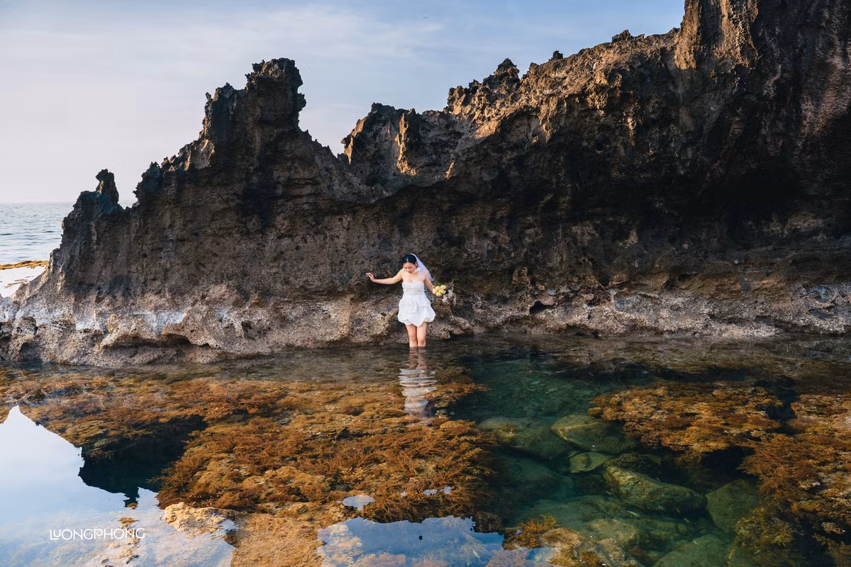 Từ trung tâm TP Phan Rang – Tháp Chàm, du khách di chuyển khoảng 35km theo cung đường ven biển tỉnh lộ 702 là đến Hang Rái. Đường đi khá thuận tiện, có thể đi bằng xe máy, ô tô riêng hoặc theo tour. Nhiều công ty lữ hành như Vietravel Ninh Thuận, Du lịch Phan Rang Xanh cung cấp các tour kết hợp Hang Rái – Vĩnh Hy – vườn nho – đồng cừu với giá từ 750.000 đồng/người, bao gồm cả xe đưa đón, ăn trưa và hướng dẫn viên. Ảnh Lương Phong