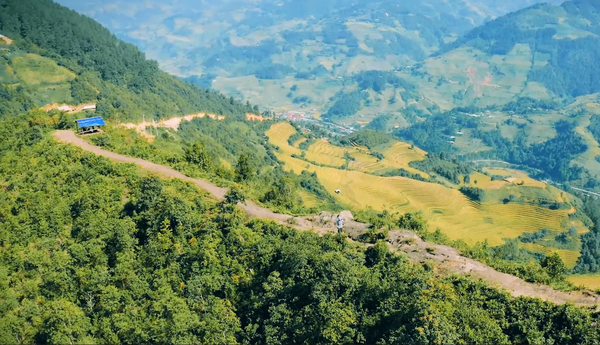 Với giới trẻ đam mê “sống ảo”, nơi này trở thành background hoàn hảo để lưu giữ khoảnh khắc mùa vàng. Ảnh Nguyễn Trọng Cung