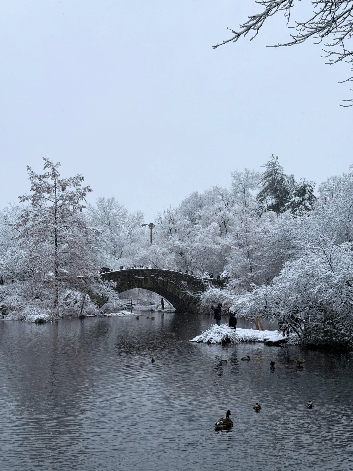 Mùa tuyết cũng là thời điểm New York khoác lên mình vẻ đẹp lấp lánh khi đêm xuống. Times Square trở nên sống động và kỳ ảo hơn với tuyết tan trên mặt đường, ánh đèn neon hắt lên lớp băng mỏng tạo nên hiệu ứng lung linh hiếm có. Trong khi gió lạnh bên ngoài có thể khiến nhiều người ngại di chuyển, thì các sân khấu Broadway, viện bảo tàng nghệ thuật hiện đại, phòng hòa nhạc hay khu mua sắm trong nhà là lựa chọn tuyệt vời để giữ ấm cơ thể và tận hưởng văn hóa đặc trưng của New York. Ảnh Hanoitourist