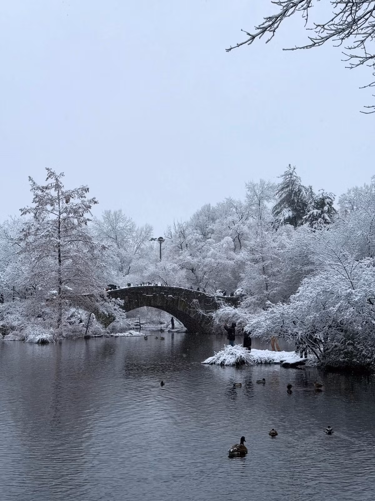 Mùa tuyết cũng là thời điểm New York khoác lên mình vẻ đẹp lấp lánh khi đêm xuống. Times Square trở nên sống động và kỳ ảo hơn với tuyết tan trên mặt đường, ánh đèn neon hắt lên lớp băng mỏng tạo nên hiệu ứng lung linh hiếm có. Trong khi gió lạnh bên ngoài có thể khiến nhiều người ngại di chuyển, thì các sân khấu Broadway, viện bảo tàng nghệ thuật hiện đại, phòng hòa nhạc hay khu mua sắm trong nhà là lựa chọn tuyệt vời để giữ ấm cơ thể và tận hưởng văn hóa đặc trưng của New York. Ảnh Hanoitourist