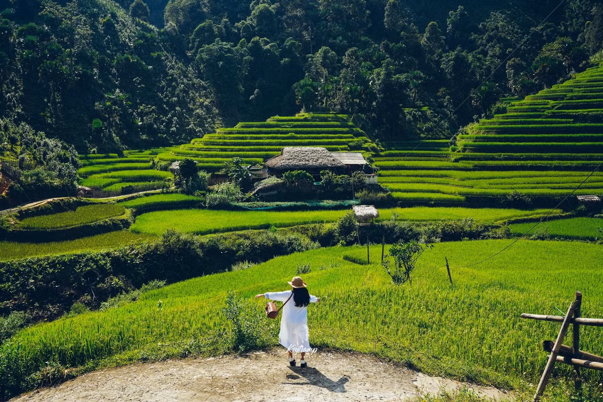 Một số homestay được đánh giá cao về chất lượng và dịch vụ có thể kể đến như Pine Homestay, Forest Homestay, Vàng Bình Homestay, Hướng Hoan Homestay… Dù còn đơn sơ nhưng các gia đình chủ nhà đều rất thân thiện, nhiệt tình, sẵn sàng chia sẻ những câu chuyện thú vị về bản làng, cuộc sống canh tác, sinh hoạt truyền thống. Ảnh Hùng Vĩ