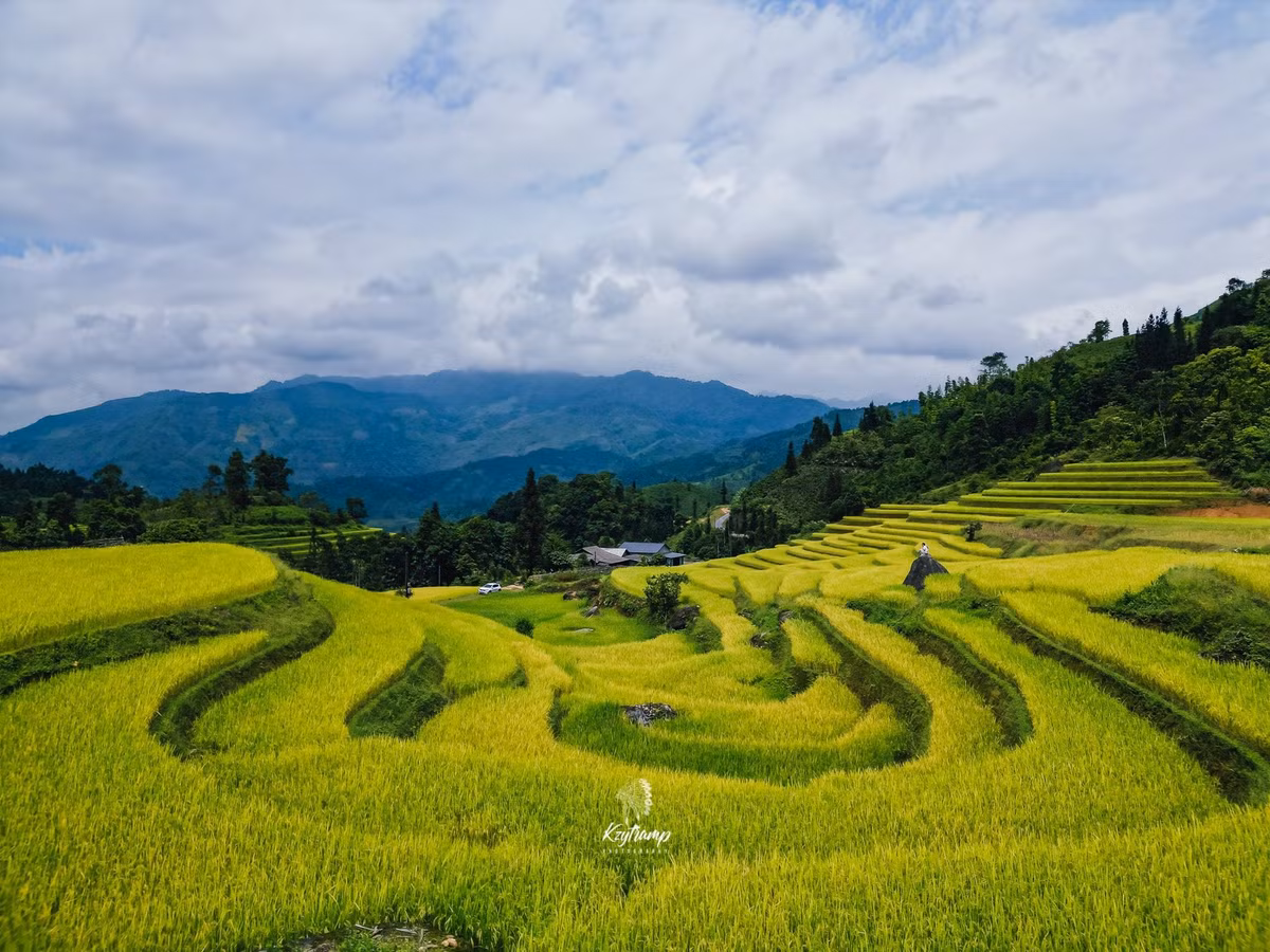 Cách trung tâm thị trấn Bắc Hà khoảng 23km, bản Liền nằm giữa thung lũng được bao quanh bởi núi đồi, ruộng bậc thang và những đồi chè Shan tuyết cổ thụ. Đường vào bản khá dễ đi, chủ yếu là đường nhựa, xe máy hoặc ô tô đều có thể di chuyển thuận tiện. Tuy nhiên, với du khách không quen đường núi, nên ưu tiên thuê xe máy có số hoặc đi theo tour xe ôm bản địa để đảm bảo an toàn. Ảnh Hùng Vĩ