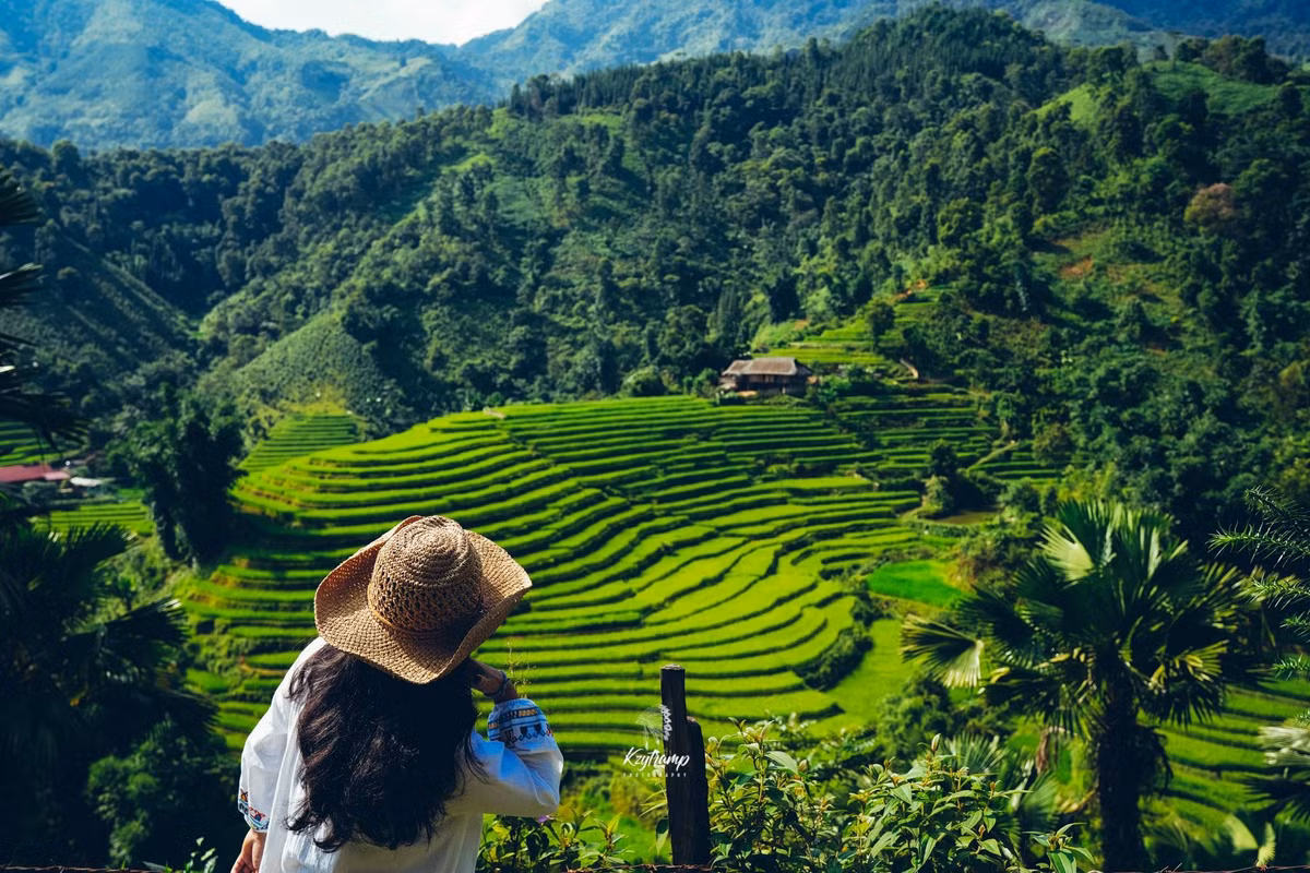 Mỗi mùa ở bản Liền đều mang một nét quyến rũ riêng. Mùa xuân là mùa hoa đào, hoa mận nở trắng rừng, mùa hè xanh mát với những đồi chè trải dài, mùa thu vàng rực ruộng bậc thang đang vào vụ gặt, còn mùa đông mang đến vẻ đẹp tĩnh lặng và sương giăng huyền ảo. Thời gian lý tưởng để lưu trú là 2–3 ngày, đủ để tham gia trải nghiệm, nghỉ ngơi và khám phá trọn vẹn cuộc sống nơi đây. Ảnh Hùng Vĩ