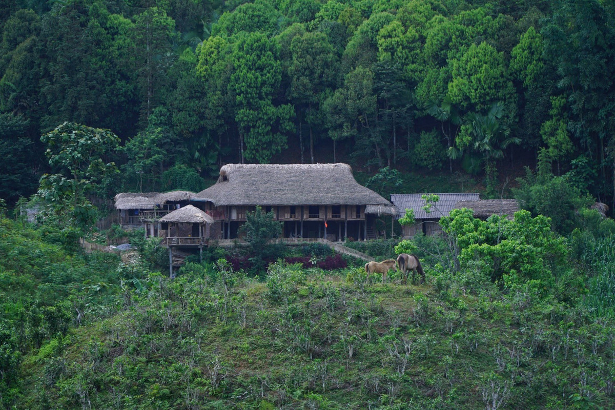 Điểm nhấn nổi bật của bản là hệ thống homestay được xây dựng theo kiểu nhà sàn truyền thống của người Tày, chủ yếu bằng gỗ, mái lợp cọ, không gian mộc mạc, thoáng đãng. Những căn nhà ba gian hai chái hay năm gian hai chái mang đặc trưng vùng cao không chỉ là nơi lưu trú mà còn là nơi lưu giữ nếp sống, văn hóa của người dân bản địa. Du khách có thể lựa chọn nghỉ tập thể trên nhà sàn, hoặc bungalow nhỏ xinh dành cho nhóm bạn, cặp đôi. Giá phòng khá phải chăng, chỉ từ 150.000 đồng/người/đêm. Ảnh Giadinhaha