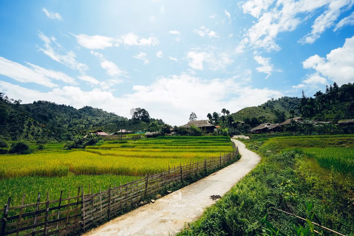 Để đến bản Liền từ Hà Nội, du khách có thể bắt xe khách đêm đi Bắc Hà với giá khoảng 350.000 đồng/người/chiều. Một số nhà xe có thể kể đến như Hải Vân, Sao Việt, Queen Café... Xuống xe tại trung tâm huyện, du khách có thể thuê xe máy với giá khoảng 150.000 đồng/ngày hoặc đi xe ôm bản địa vào bản Liền. Ngoài ra, có thể đi tàu đêm đến ga Lào Cai, sau đó bắt xe ghép khoảng 90 phút lên Bắc Hà. Ảnh Hùng Vĩ