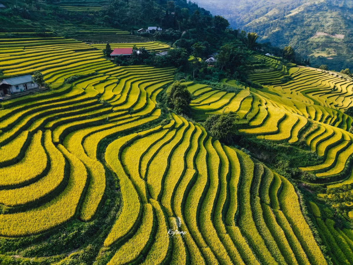 Ẩn mình giữa vùng núi non xanh thẳm của huyện Bắc Hà (tỉnh Lào Cai), bản Liền đang dần trở thành điểm đến hấp dẫn với những ai yêu thích loại hình du lịch cộng đồng và mong muốn được hòa mình vào nhịp sống của đồng bào dân tộc Tày. Không ồn ào, không dịch vụ sang trọng, bản Liền cuốn hút bởi sự mộc mạc, chân tình và những trải nghiệm “đúng chất bản” hiếm thấy. Ảnh Hùng Vĩ