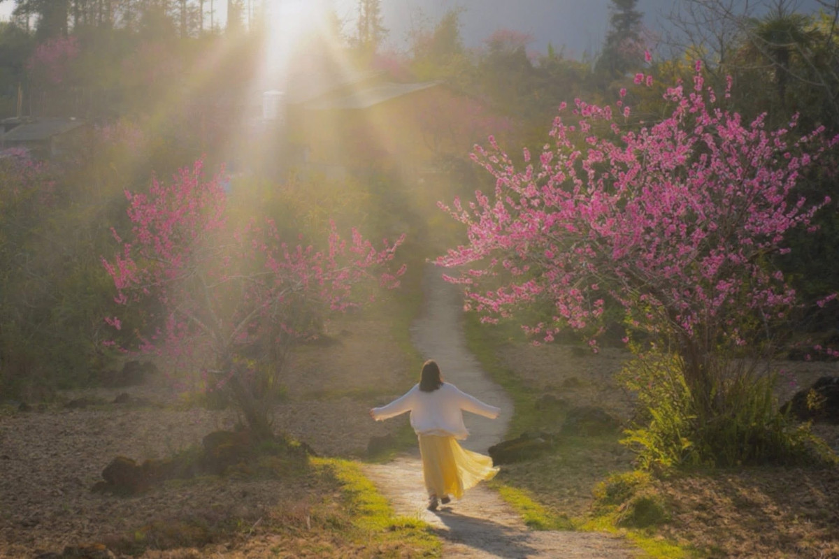 Nằm ở vùng biên giới phía Bắc của tỉnh Tuyên Quang, xã Tùng Vài (trước đây là xã Cao Mã Pờ) đang dần trở thành điểm đến hấp dẫn đối với những du khách yêu thích thiên nhiên hoang sơ của miền núi Đông Bắc. Mỗi độ xuân về, nơi đây như khoác lên mình tấm áo mới khi sắc hoa đào bung nở khắp các triền núi, sườn đồi và bản làng, tạo nên bức tranh mùa xuân vừa rực rỡ vừa bình yên.