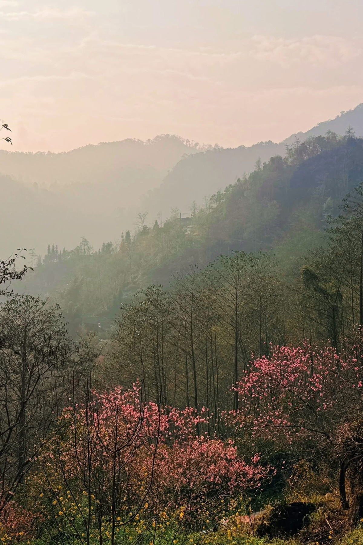 Tour Hà Nội – Tuyên Quang (Khu vực Hà Giang cũ) – Đồng Văn (4 ngày 3 đêm) có giá khoảng 4,2 – 4,5 triệu đồng/khách, đưa du khách khám phá các điểm như Quản Bạ, Yên Minh, Đồng Văn hay cột cờ Lũng Cú. Ngoài ra, tour khám phá Đông Bắc 5 ngày 4 đêm với giá khoảng 5 – 6 triệu đồng/khách cũng kết hợp tham quan nhiều bản làng vùng cao và các cung đường núi nổi tiếng.
