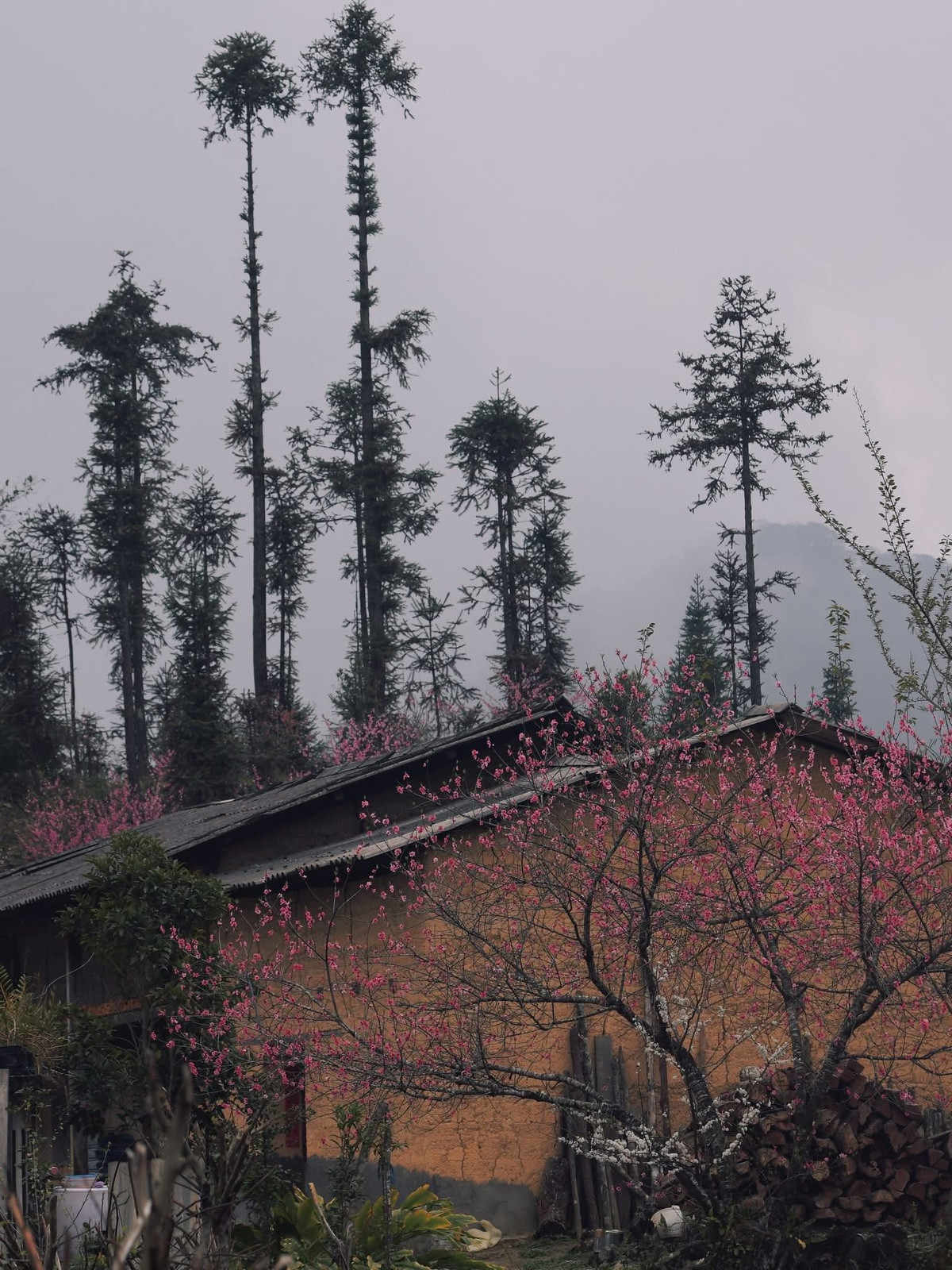 Đến Tùng Vài, du khách có thể lựa chọn lưu trú tại homestay Núi Hoa, một điểm nghỉ chân mang đậm kiến trúc truyền thống với nhà trình tường và mái ngói âm dương đặc trưng của vùng cao. Không gian mộc mạc cùng khung cảnh thiên nhiên xung quanh giúp du khách dễ dàng hòa mình vào cuộc sống bản địa.