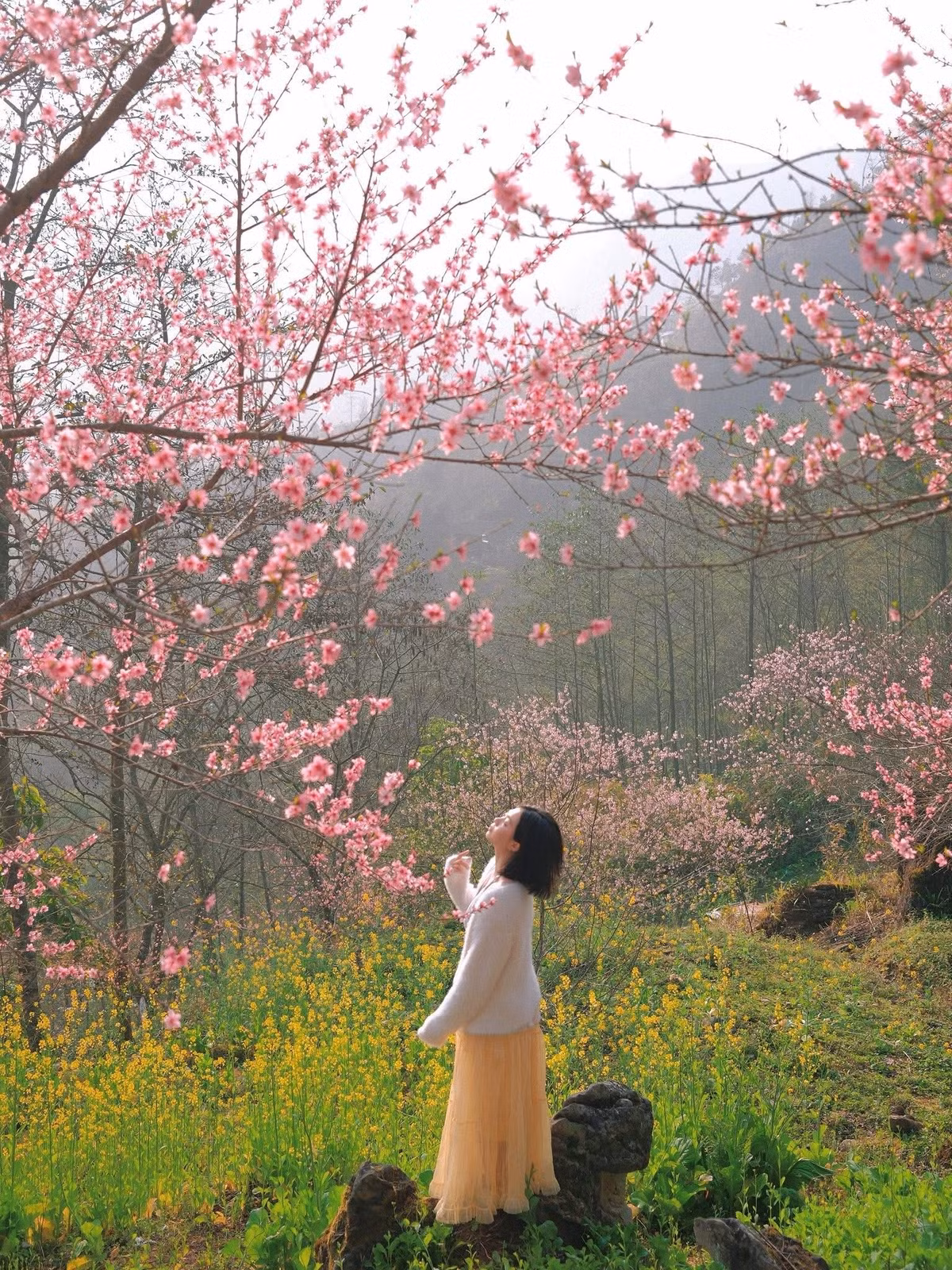 Không chỉ có hoa đào, Tùng Vài còn gây ấn tượng với nhiều loài hoa đặc trưng của vùng cao. Khi xuân về, sắc trắng tinh khôi của hoa mận, màu đỏ rực rỡ của hoa đỗ quyên hay những thảm hoa cải vàng trải dài trên sườn đồi tạo nên bức tranh thiên nhiên đa sắc màu.