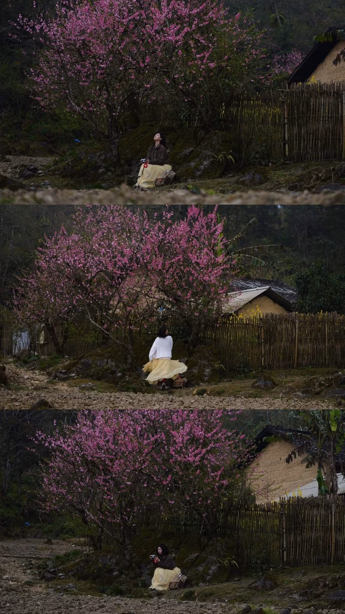 Không quá đông đúc hay ồn ào, Tùng Vài vẫn giữ được vẻ nguyên sơ và tĩnh lặng của một vùng biên giới. Chính sự mộc mạc ấy đã khiến nơi đây trở thành điểm đến lý tưởng cho những ai muốn tìm về thiên nhiên, tận hưởng một mùa xuân chậm rãi giữa núi rừng Đông Bắc.