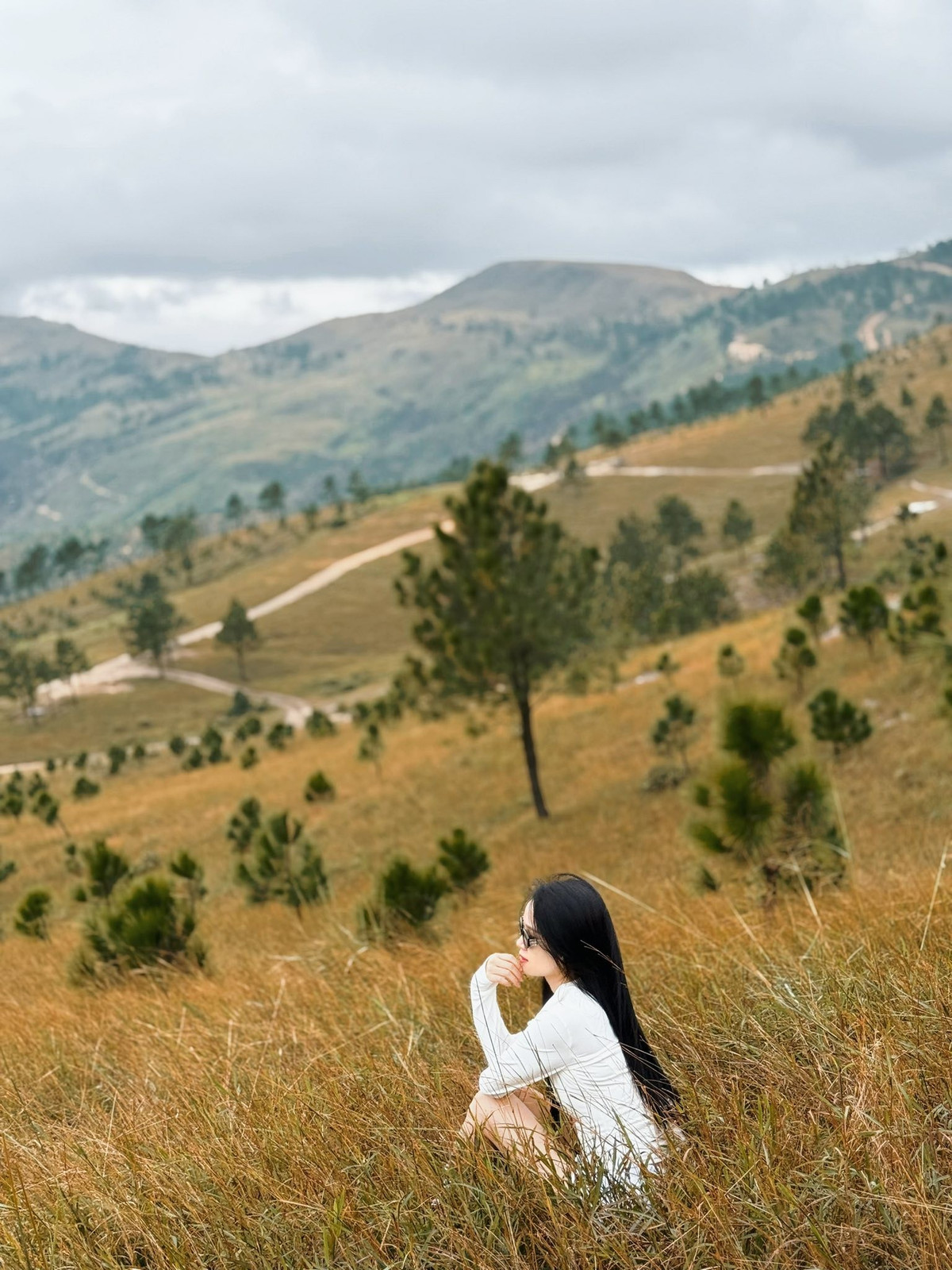 Dari sekitar akhir November hingga Januari tahun berikutnya, rumput di puncak gunung bertukar warna keemasan, mencelupkan seluruh padang rumput dalam warna hangat. Setiap sudut pandangan di sini menawarkan perasaan yang berbeza: sesetengah tempat menampilkan padang rumput luas yang berdesir ditiup angin, manakala yang lain mempamerkan pokok pain bersendirian di sepanjang laluan berliku. Kedamaian dan pengasingan dari bandar inilah yang menjadikan Phoenix Peak destinasi ideal untuk pasangan dan kumpulan anak muda yang mencari kelonggaran dan inspirasi kreatif. (Foto oleh Dieu Hoa)