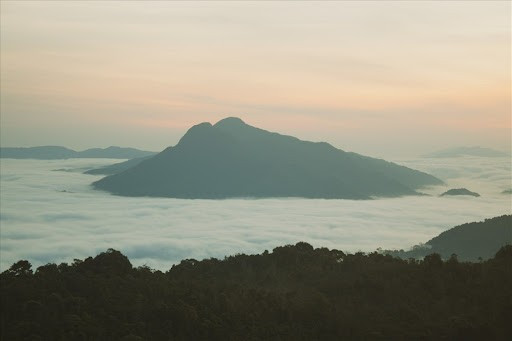 Vào mùa đông và xuân, mây bám dày và lâu, phủ kín các thung lũng phía dưới. Từ trên cao, du khách có thể phóng tầm mắt ngắm trọn không gian mây – núi – rừng hòa quyện, cảm nhận rõ sự tĩnh lặng đặc trưng của Khe Sanh vào buổi sớm. Ảnh Internet