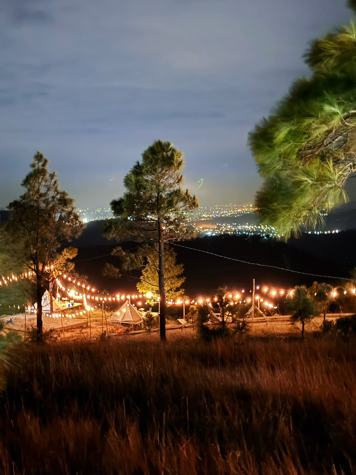 Tidak terlalu jauh dari pusat bandar, namun memiliki keindahan yang jarang ditemui dan mendamaikan, bukit berumput musim luruh dan musim sejuk di Quang Ninh menjadi destinasi menarik untuk percutian, di mana pengunjung boleh memperlahankan, menghirup udara pergunungan, dan merakam detik-detik damai pada penghujung tahun. (Foto: Van Le)