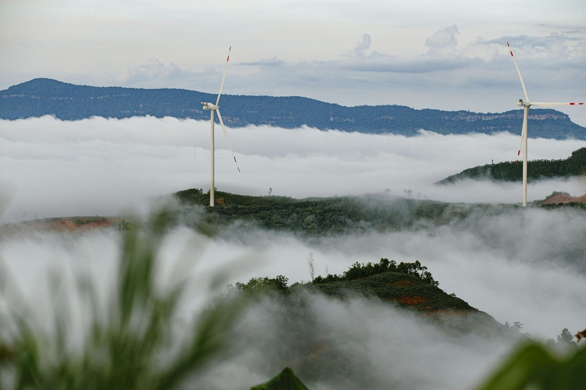 Khép lại chuỗi điểm săn mây dễ tiếp cận là đỉnh Cu Vơ – nơi dành cho du khách ưa cảm giác chinh phục. Cách trung tâm khoảng 12km, đỉnh Cu Vơ mang vẻ đẹp thuần khiết của núi rừng Trường Sơn. Ảnh Internet