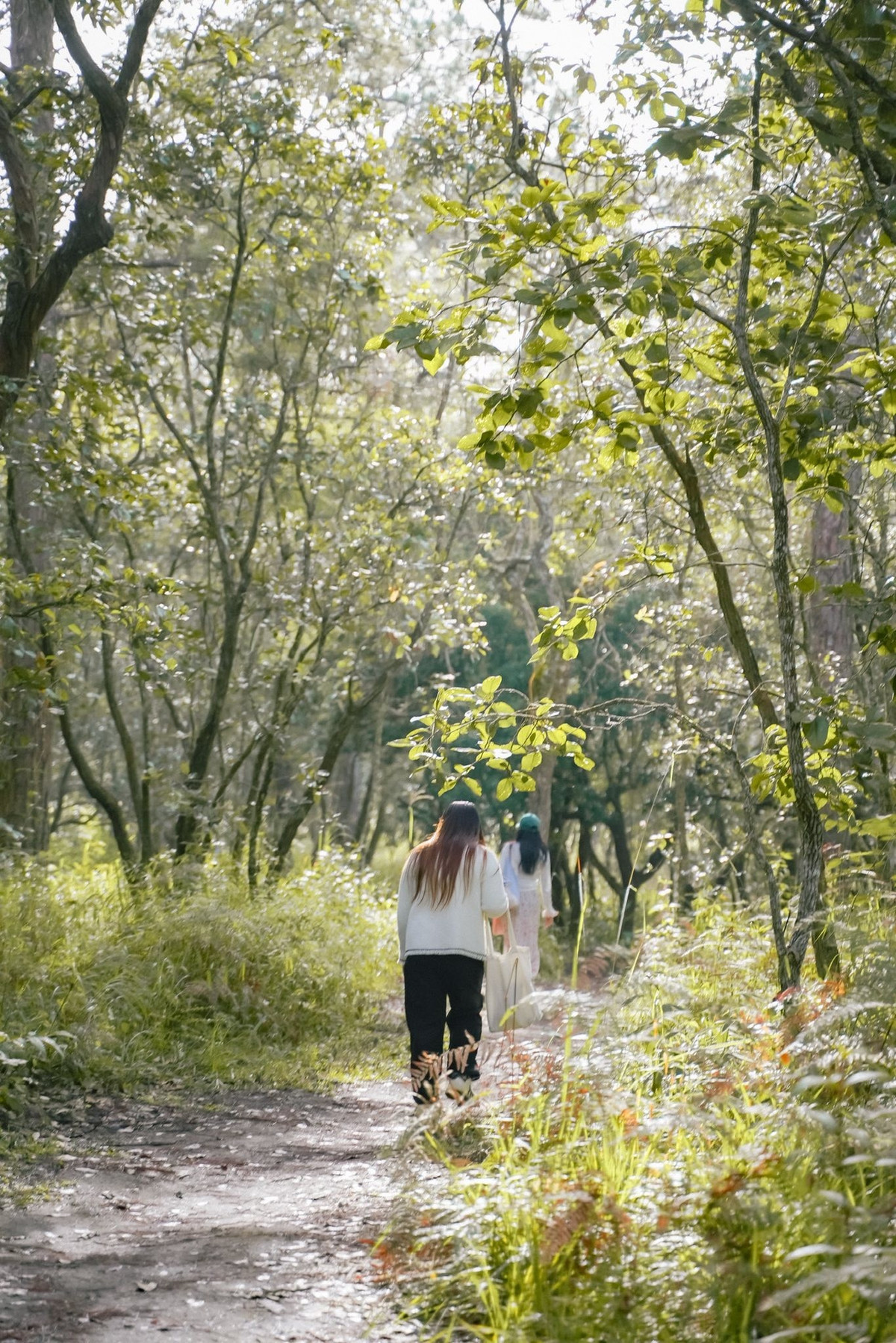 Với vẻ đẹp nguyên bản, mơ màng và yên bình, Suối Tía đang dần trở thành điểm đến lý tưởng cho những ai muốn tìm về thiên nhiên, tạm rời xa sự ồn ào để chạm đến những khoảnh khắc an nhiên giữa đại ngàn Đà Lạt. Ảnh Phương Tali