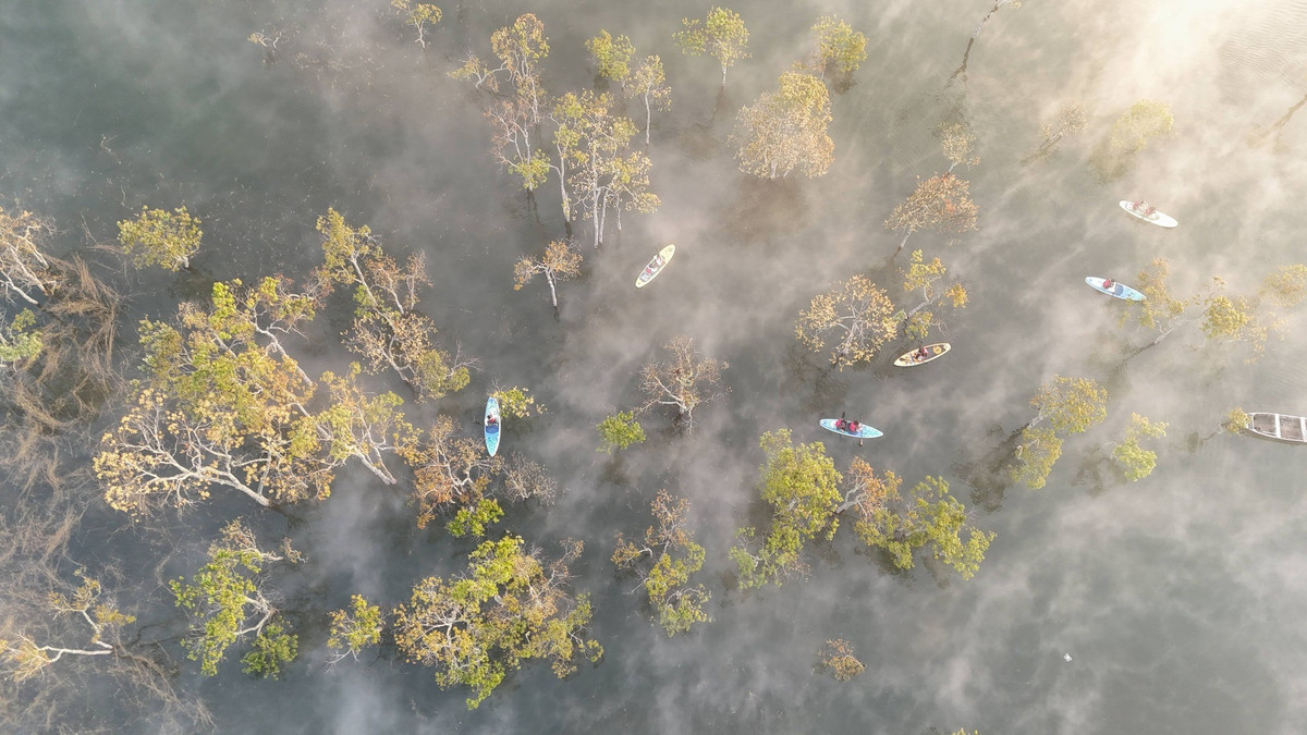 Điều đặc biệt ở Suối Tía là cảm giác như được chiêm ngưỡng đủ bốn mùa chỉ trong một ngày. Buổi sớm, mặt nước bảng lảng sương mù, không gian mát lành, dịu dàng như mùa xuân. Khi nắng lên, ánh sáng phản chiếu khiến cảnh vật bừng sáng, rực rỡ như mùa hạ. Buổi chiều, sắc trời dịu xuống, khung cảnh trầm lắng, man mác như mùa thu. Đêm về, cái lạnh đặc trưng của cao nguyên bao trùm, mang đến cảm giác giá buốt như giữa mùa đông. Ảnh Bảo Ân