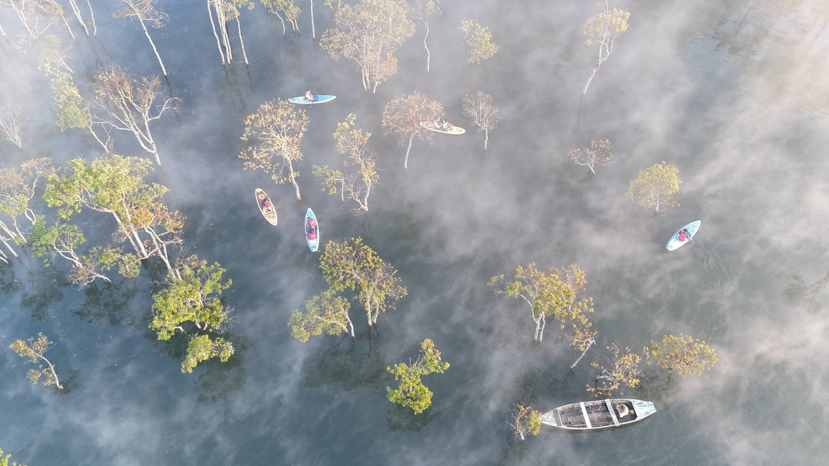 Theo kinh nghiệm của nhiều du khách, thời điểm lý tưởng nhất để chiêm ngưỡng vẻ đẹp kỳ ảo của Suối Tía là vào sáng sớm, trước 6h30, trong những ngày độ ẩm cao và ít gió. Khi đó, làn sương mỏng len lỏi qua từng tán chò, cuộn nhẹ trên mặt nước, tạo nên khung cảnh mơ hồ, tĩnh lặng hiếm có. Khi mặt trời lên cao, sương dần tan, để lộ vẻ đẹp trong veo của dòng suối giữa đại ngàn. Ảnh Bảo Ân