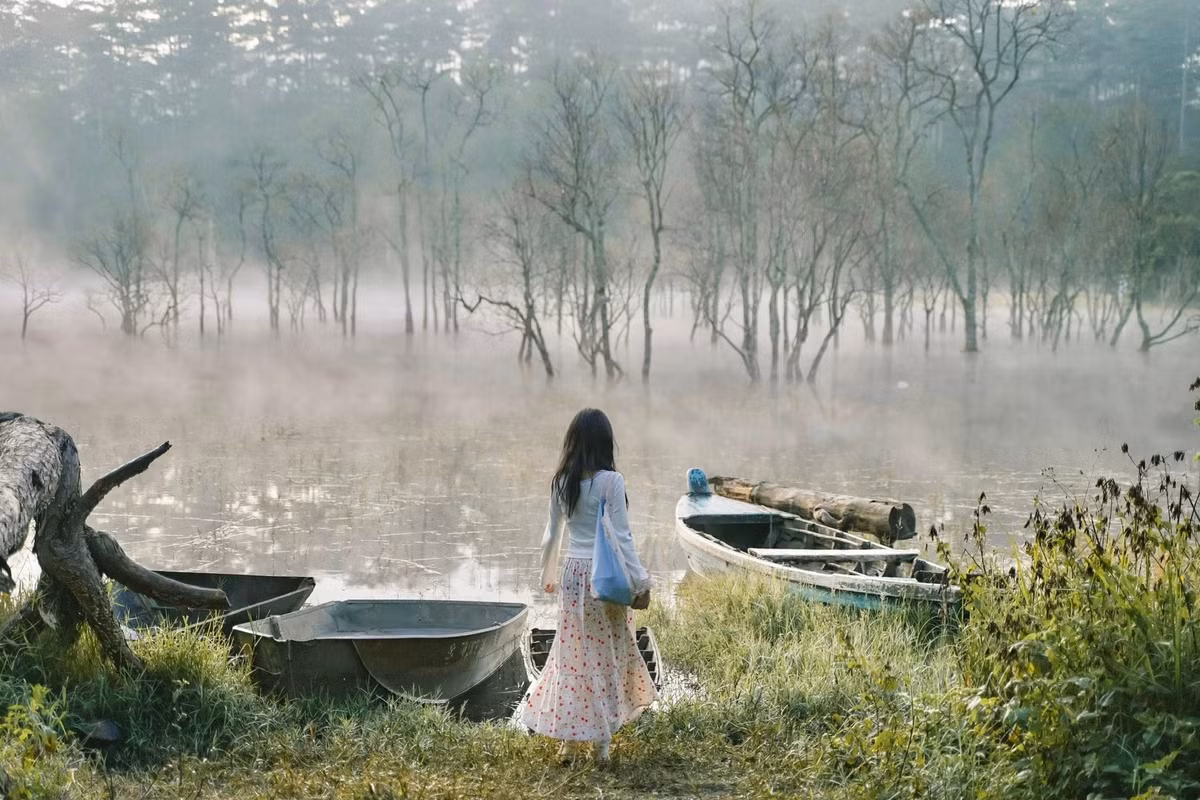 Do vẫn còn giữ được nét hoang sơ, Suối Tía chưa chịu nhiều tác động của con người. Xung quanh là những bãi cỏ bằng phẳng, rất phù hợp cho các hoạt động dã ngoại, cắm trại qua đêm, tận hưởng không khí trong lành và sự tĩnh lặng hiếm hoi của núi rừng. Ảnh Phương Tali