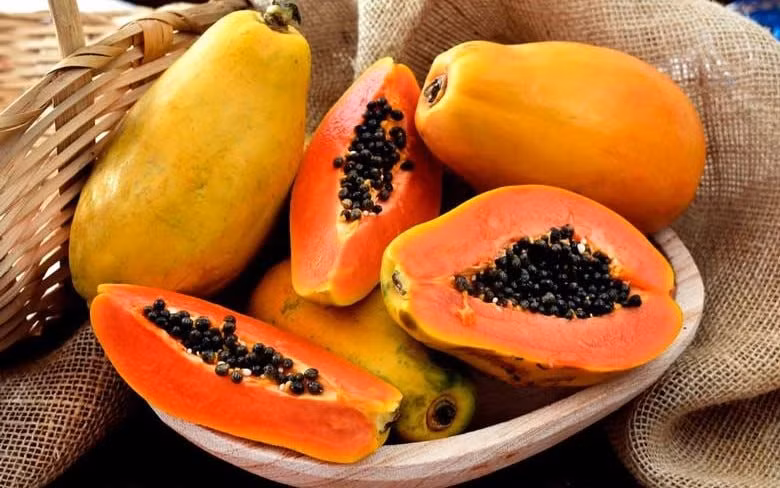 Với những lợi ích toàn diện từ sức khỏe đến làm đẹp, đu đủ là thực phẩm nên có trong chế độ ăn hàng ngày, giúp cơ thể khỏe mạnh và làn da tươi trẻ. Ảnh minh hoạ