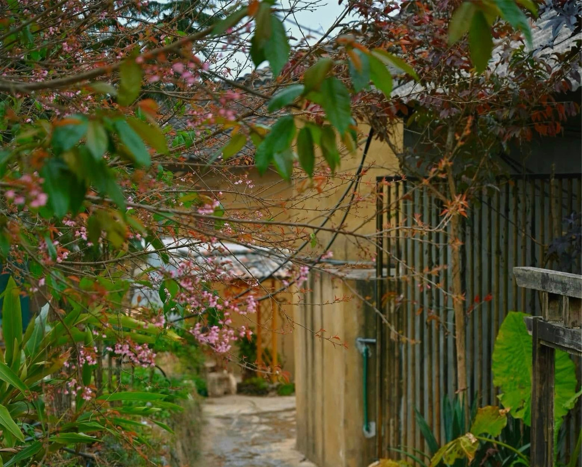 Ngoài chụp ảnh, du khách có thể kết hợp tham quan Cột cờ quốc gia Lũng Cú, tìm hiểu đời sống của đồng bào Lô Lô, Mông và khám phá các cung đường đá đặc trưng của cao nguyên. Ảnh Kim Anh