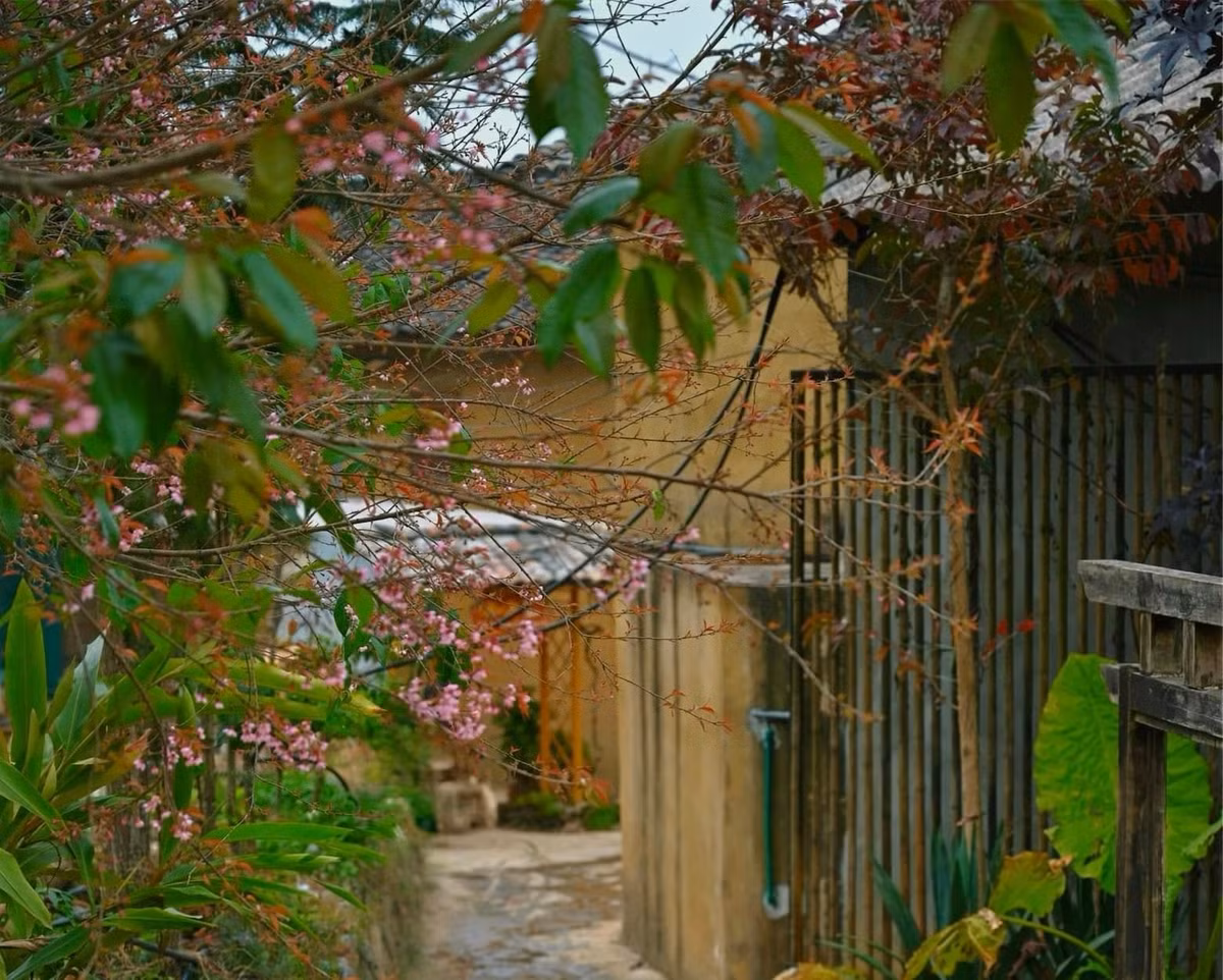 Ngoài chụp ảnh, du khách có thể kết hợp tham quan Cột cờ quốc gia Lũng Cú, tìm hiểu đời sống của đồng bào Lô Lô, Mông và khám phá các cung đường đá đặc trưng của cao nguyên. Ảnh Kim Anh