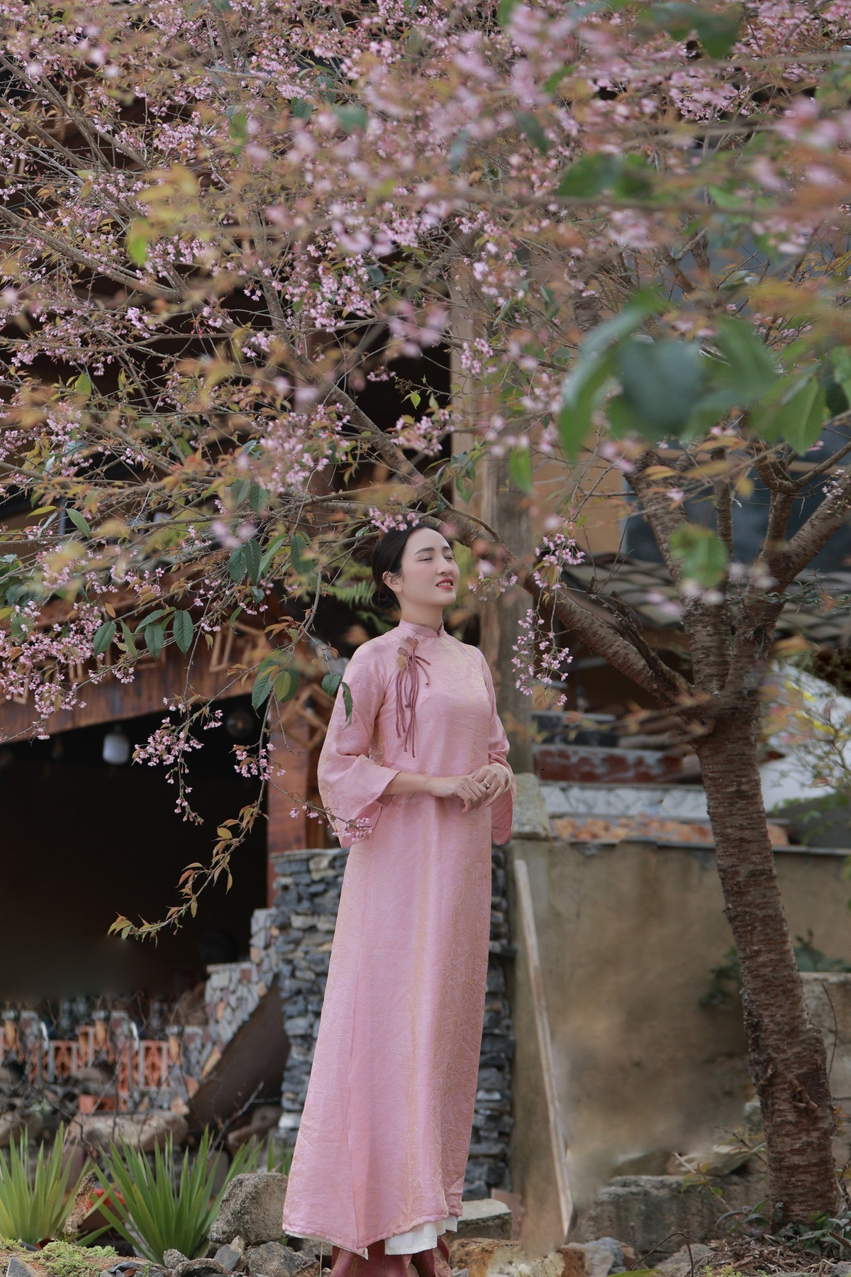 Với vẻ đẹp nguyên sơ, không khí trong lành và sắc hoa dịu dàng giữa cao nguyên đá, Lũng Cú mùa anh đào là gợi ý lý tưởng cho những chuyến du lịch đầu năm. Một hành trình vừa ngắm hoa, vừa khám phá thiên nhiên và cảm nhận nhịp sống chậm rãi nơi cực Bắc của Tổ quốc. Ảnh Nguyễn Ngọc Đô