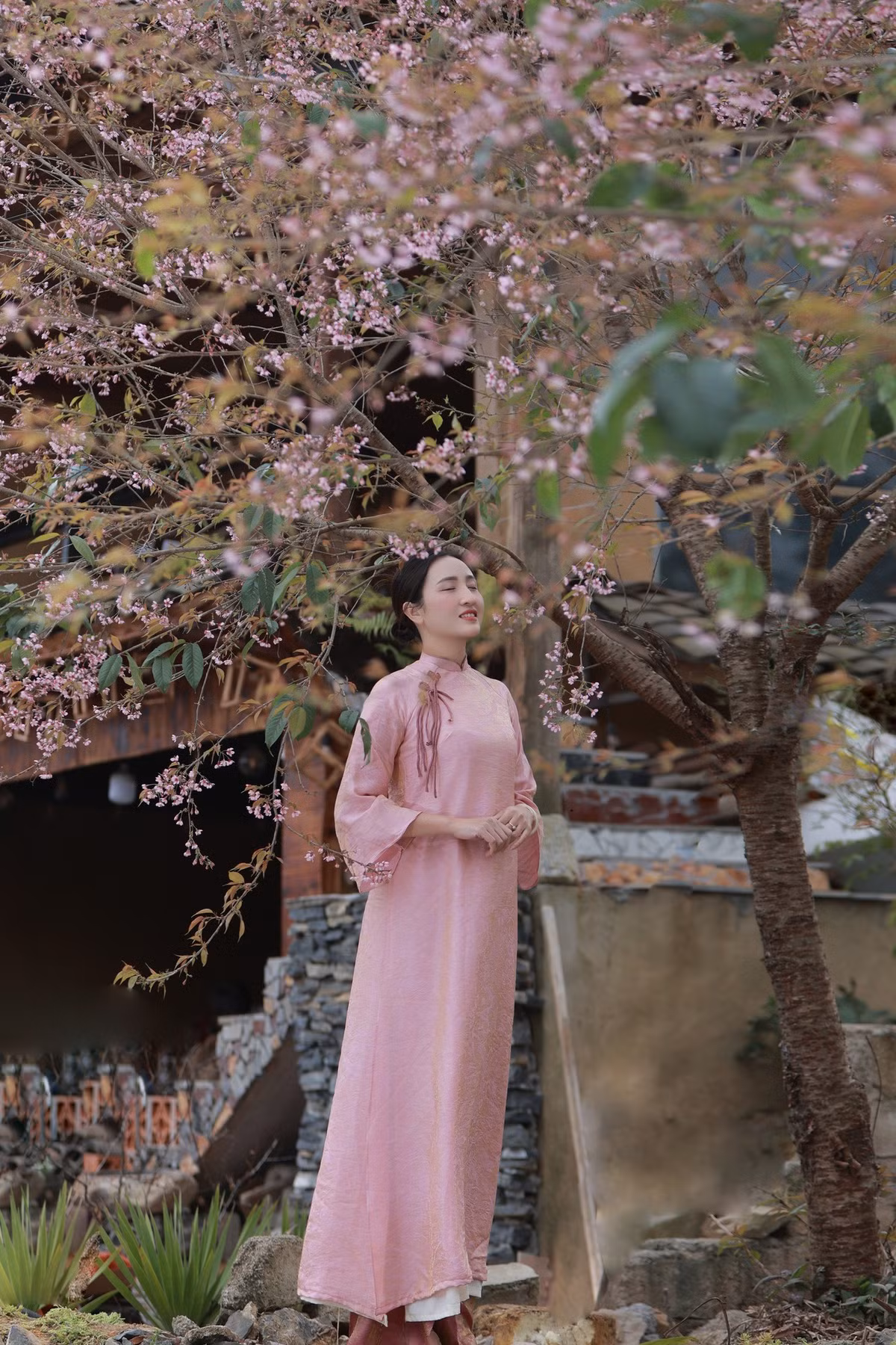 Với vẻ đẹp nguyên sơ, không khí trong lành và sắc hoa dịu dàng giữa cao nguyên đá, Lũng Cú mùa anh đào là gợi ý lý tưởng cho những chuyến du lịch đầu năm. Một hành trình vừa ngắm hoa, vừa khám phá thiên nhiên và cảm nhận nhịp sống chậm rãi nơi cực Bắc của Tổ quốc. Ảnh Nguyễn Ngọc Đô