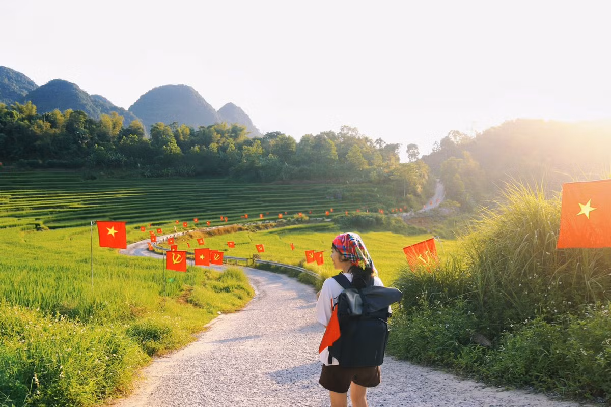 Con đường uốn lượn giữa sườn đồi, hai bên là ruộng lúa chín vàng rực, xen lẫn hàng cờ đỏ sao vàng bay trong gió – một hình ảnh vừa bình dị, vừa thiêng liêng. Ảnh Sam Nguyễn