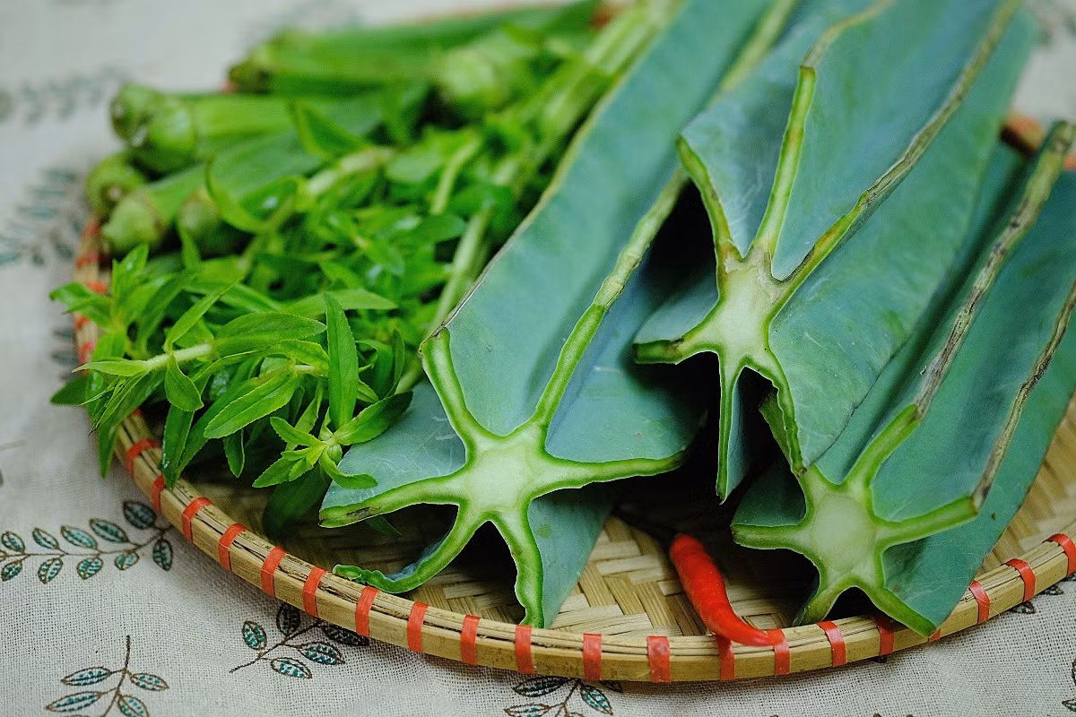 Nguyên liệu chính làm nên món ăn là xương rồng bẹ, hay còn gọi là xương rồng tai thỏ – loài cây mọng nước, bản dẹp, mặt phủ đầy gai li ti, tưởng như chỉ để trồng làm cảnh. Ảnh Phong Nha