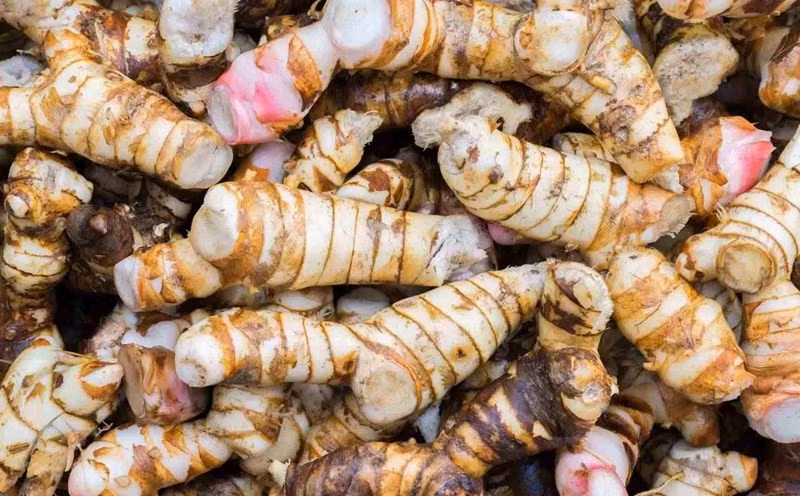 Theo y học cổ truyền, riềng có vị cay, mùi thơm, tính ấm, quy vào kinh tỳ và vị. Dược liệu này có tác dụng ôn trung, tán hàn, giảm đau, giúp kích thích tiêu hóa và thường được sử dụng trong các trường hợp đầy bụng, đau bụng do lạnh. Ngày nay, khoa học hiện đại cũng chỉ ra rằng củ riềng chứa nhiều hợp chất sinh học có lợi cho sức khỏe con người. Ảnh minh họa