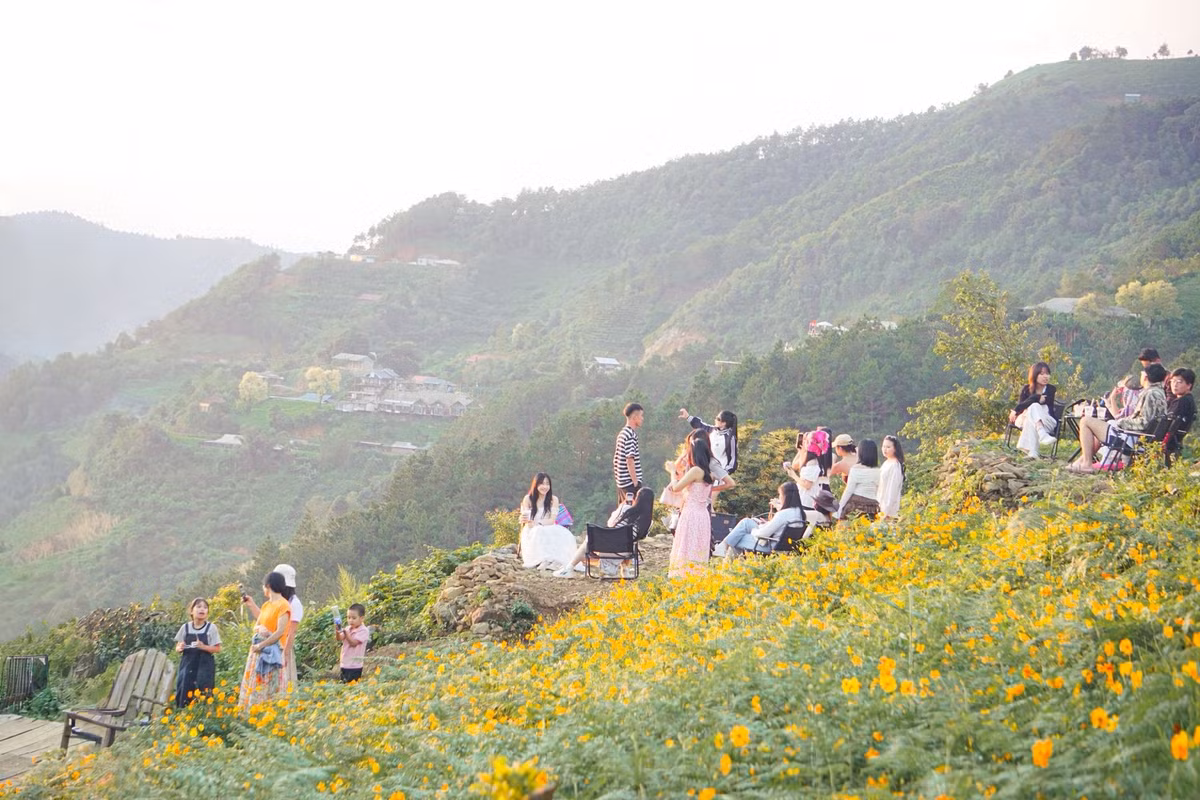 Bước chân vào khu vườn, du khách sẽ bị mê hoặc bởi sắc vàng dịu dàng của những bông hoa cúc, xen lẫn chút nắng sớm chiếu qua tán lá, tạo nên không gian đầy thơ mộng. Ảnh Tiệm cà phê Hoàng Hôn