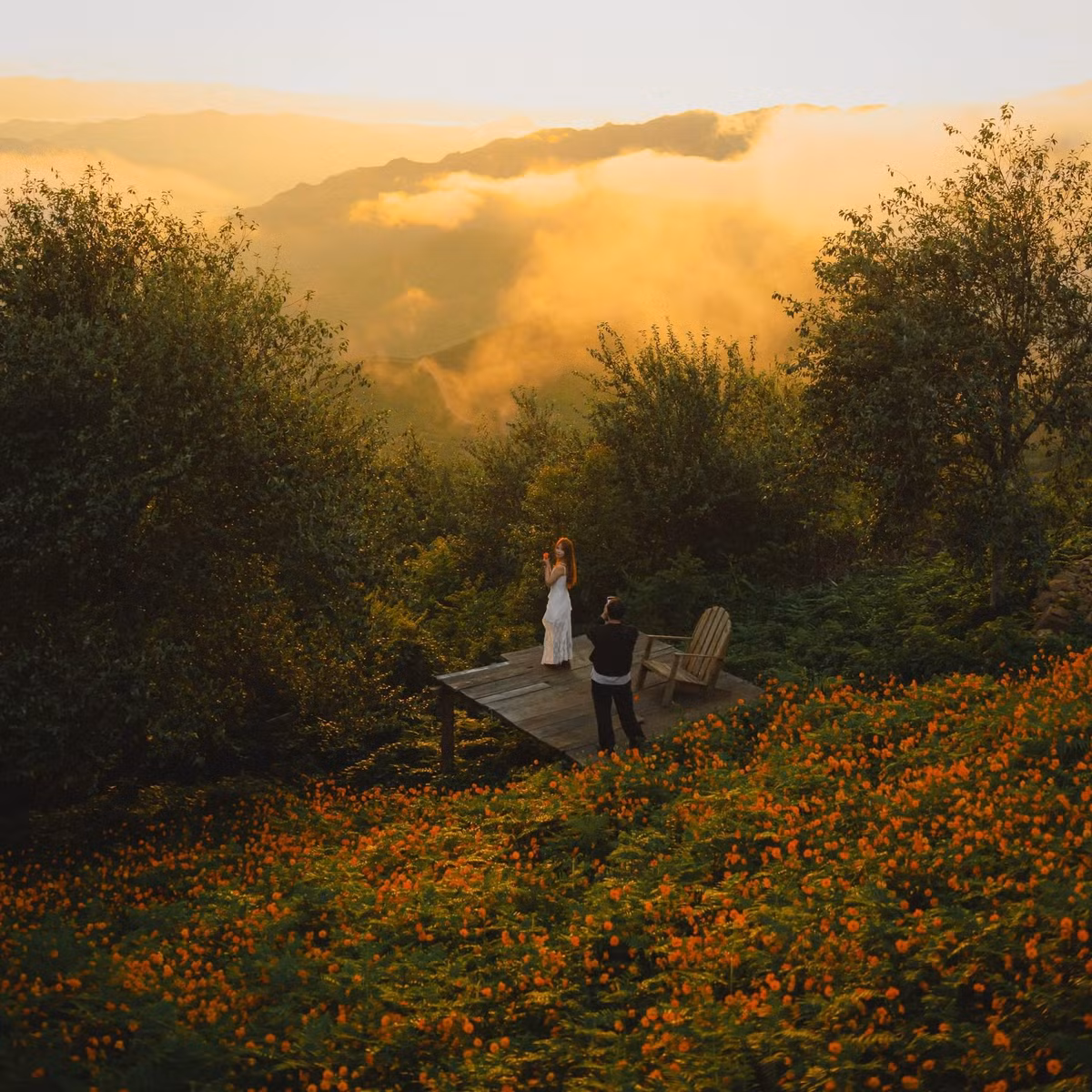 Với khung cảnh nên thơ, không khí trong lành và trải nghiệm giản dị nhưng đầy ấn tượng, Tà Xùa và tiệm cà phê Hoàng Hôn trở thành điểm đến lý tưởng cho cuối tuần. Ảnh Sói