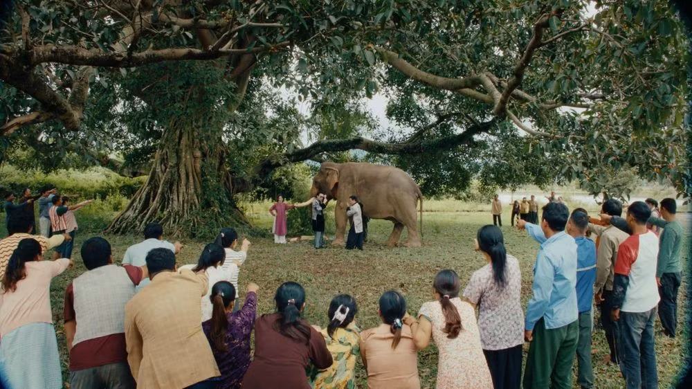 Xã Đắk Liêng hiện là địa bàn có nhiều cá thể voi nhà nhất Đắk Lắk. Thiên nhiên nơi đây vẫn giữ nét hoang sơ, được bao bọc bởi sông Krông Ana và hồ Lắk, cùng nhiều điểm du lịch nổi bật như suối Đắk Pok, vườn quốc gia Chư Yang Sin. Ảnh Tạp chí Trí thức