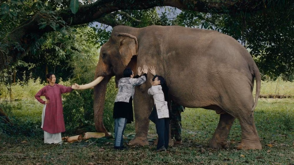 Phân cảnh ấn tượng nhất trong MV là khi Soobin và Binz vào vai “thầy bói xem voi”, được quay tại xã Đắk Liêng (tỉnh Đắk Lắk) – vùng đất nổi tiếng với hồ Lắk thơ mộng và văn hóa cồng chiêng đặc sắc. Ảnh Tạp chí Trí thức