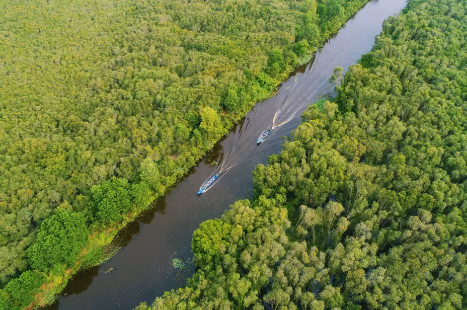 Với cảnh sắc thiên nhiên trong lành, trải nghiệm bản địa phong phú và không khí yên ả, làng nổi Tân Lập là gợi ý đáng cân nhắc cho chuyến du xuân nhẹ nhàng, thư thái, đặc biệt phù hợp với những ai đang tìm kiếm một hành trình “chữa lành” đầu năm. Ảnh dulichmientay