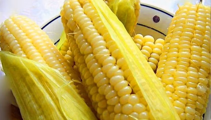 Trong khi đó, sữa tươi lại mang đến vị ngọt béo nhẹ, mùi thơm dịu dàng, khiến hạt ngô trở nên mềm dẻo, hấp dẫn hơn hẳn. Ảnh minh họa