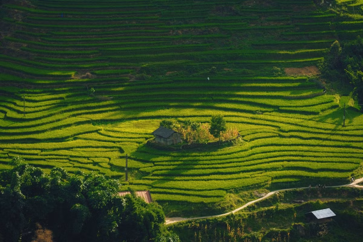 Đến Ý Linh Hồ mùa này, du khách có thể lựa chọn đi bộ theo những con đường mòn len lỏi giữa ruộng bậc thang, men theo các con suối róc rách hoặc trekking qua những cánh rừng và thác nước mát lạnh. Ảnh Tuyên Parafu
