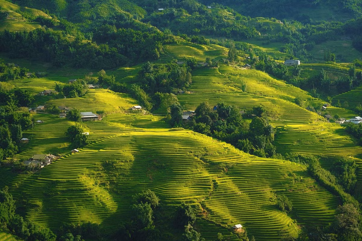 Địa hình ở đây đặc trưng với ruộng bậc thang xen kẽ rừng xanh và dòng suối nhỏ, tạo nên khung cảnh vừa hoang sơ vừa ấm áp. Ảnh Tuyên Parafu
