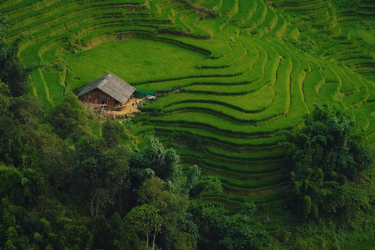 Nhiều gia đình mở cửa đón khách ghé thăm, thưởng thức ẩm thực địa phương như thắng cố, gà đen nướng, rượu ngô… tạo nên trải nghiệm trọn vẹn cả về thị giác lẫn vị giác. Ảnh Tuyên Parafu