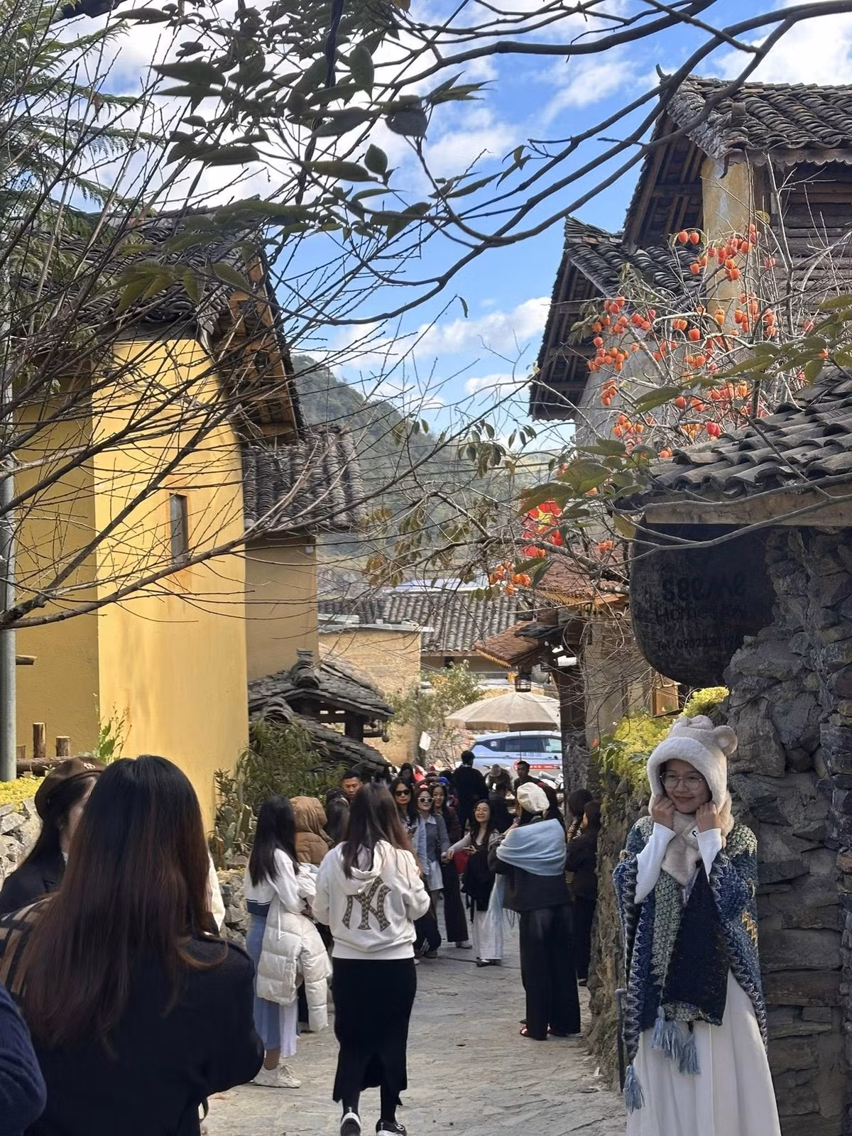 Background được săn đón nhiều nhất là cây hồng nổi bật giữa làng – điểm check-in không thể bỏ qua của bất cứ ai đến đây. Ảnh Hà Giang Tour